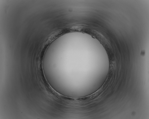 X0000097630504200802290848