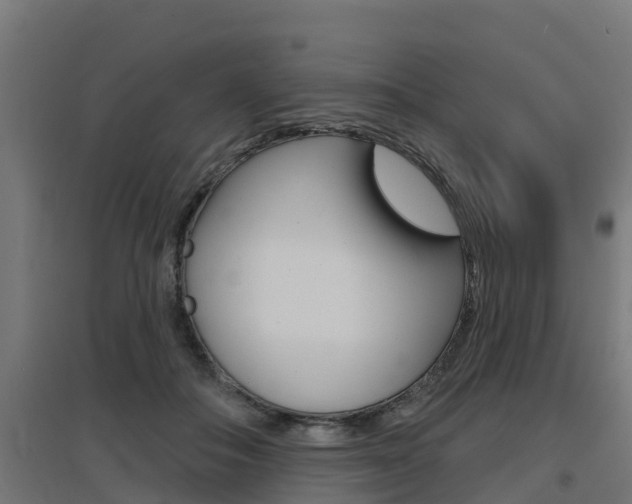 X0000097630506200802290848