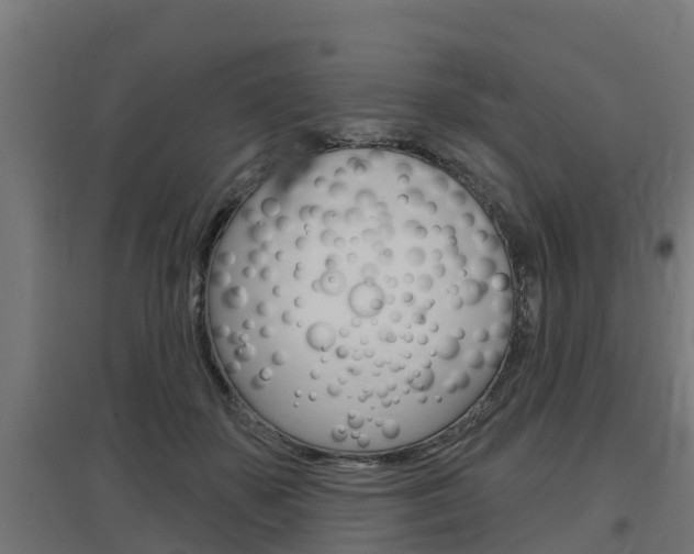 X0000097630507200802290848