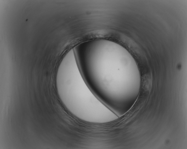 X0000097630509200802290847