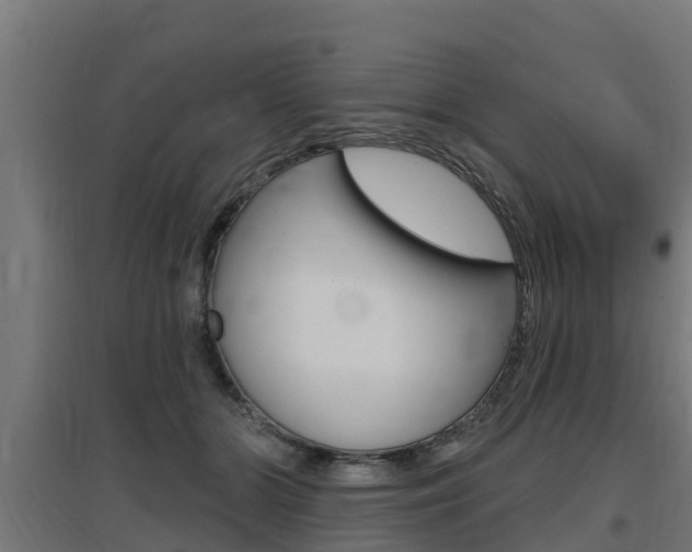 X0000097630510200802290847
