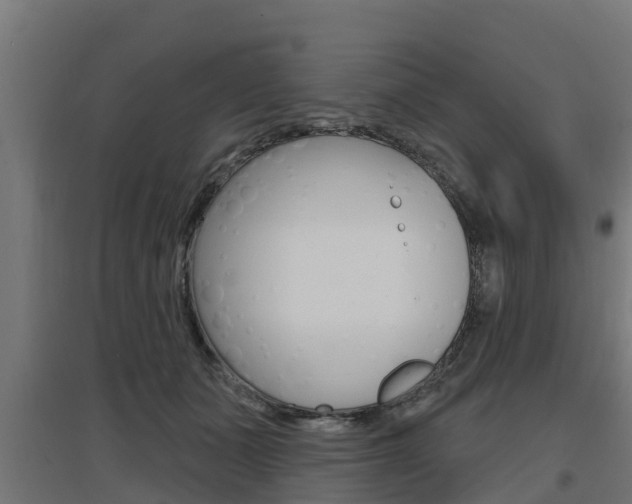 X0000097630511200802290847