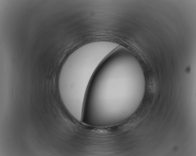 X0000097630512200802290847