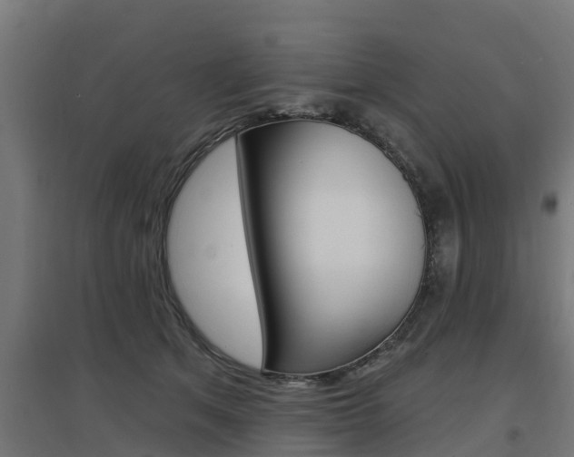 X0000097630513200802290847