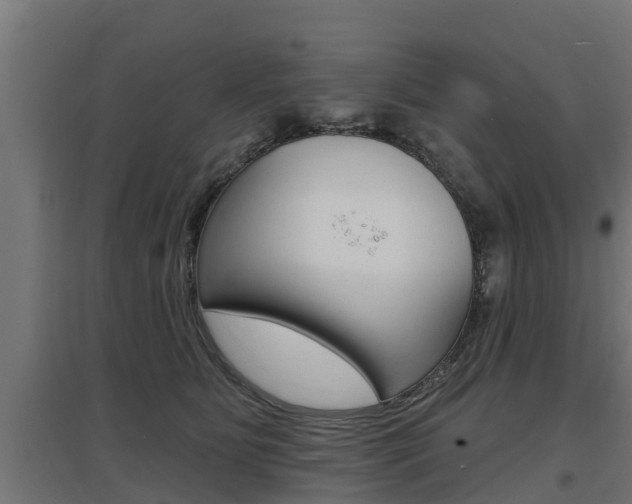 X0000097630515200802290847