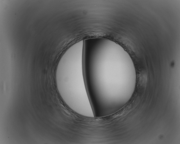 X0000097630517200802290847