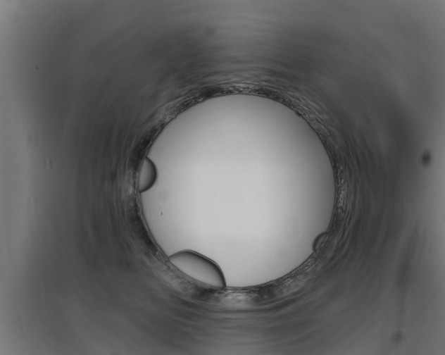X0000097630518200802290847