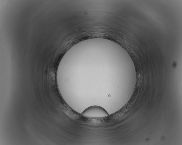 X0000097630522200802290847
