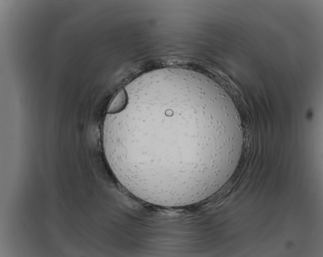 X0000097630523200802290847