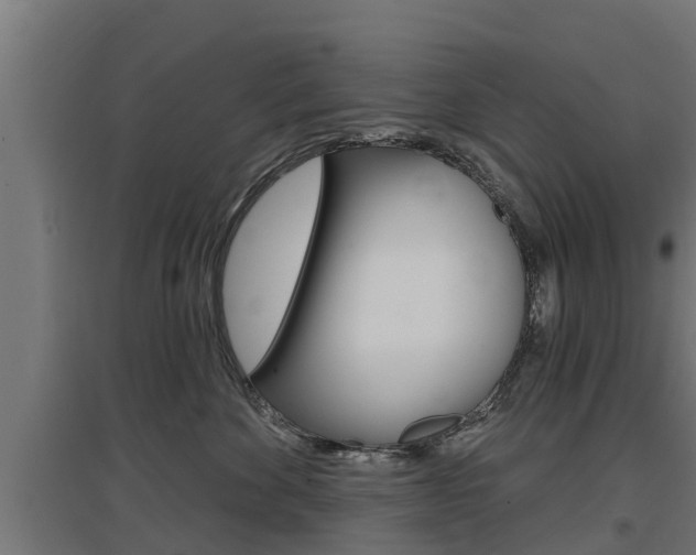 X0000097630524200802290847
