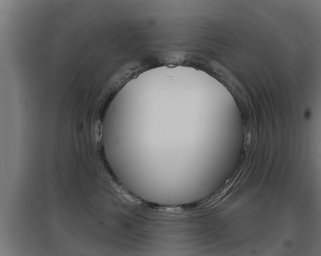X0000097630525200802290847