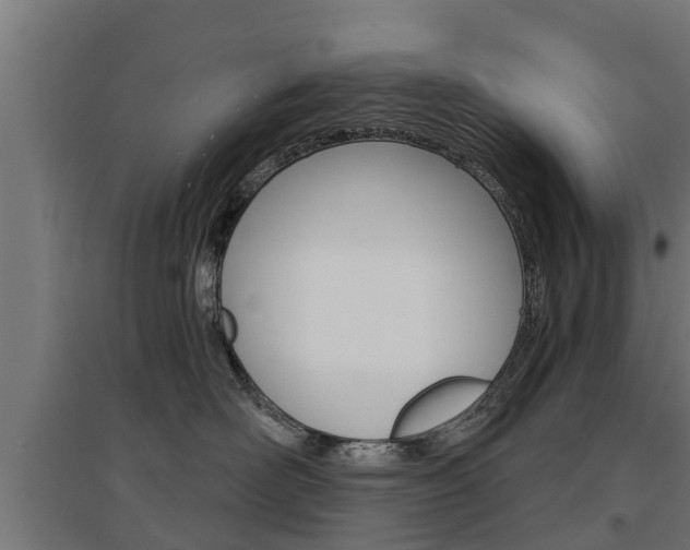X0000097630526200802290847