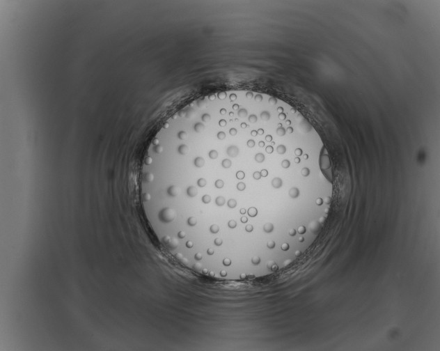 X0000097630527200802290847