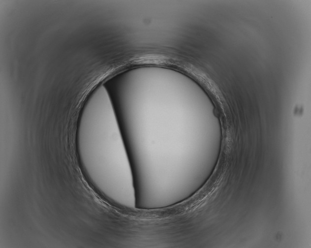 X0000097630529200802290846