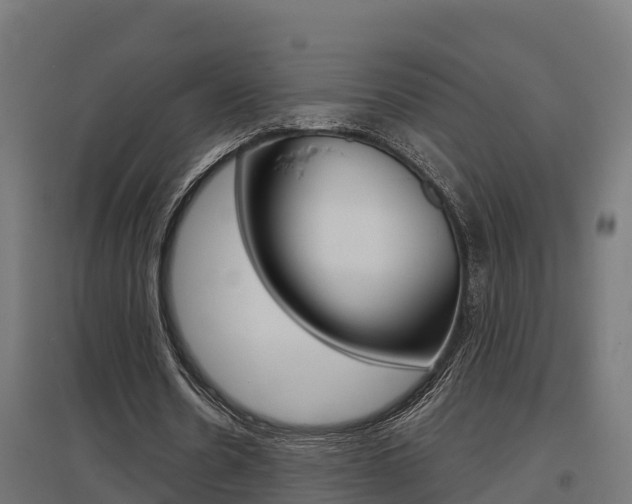 X0000097630530200802290846