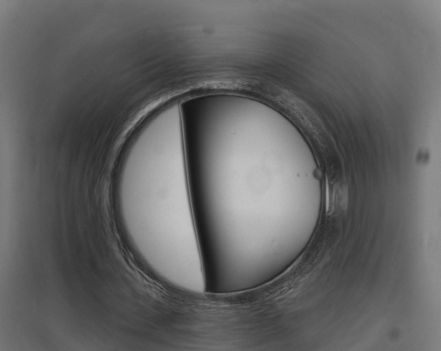 X0000097630531200802290846