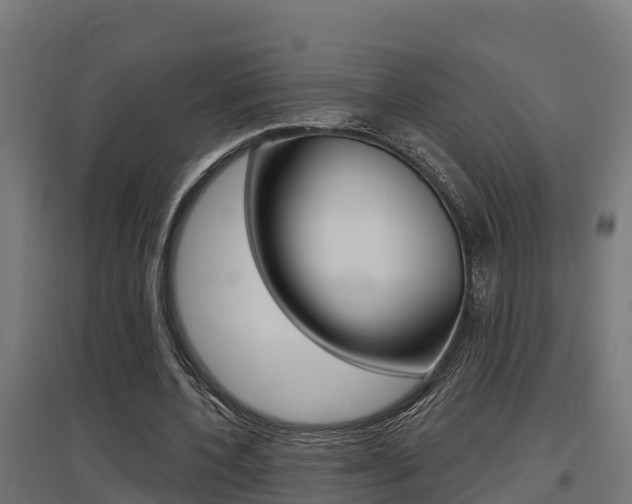 X0000097630532200802290846