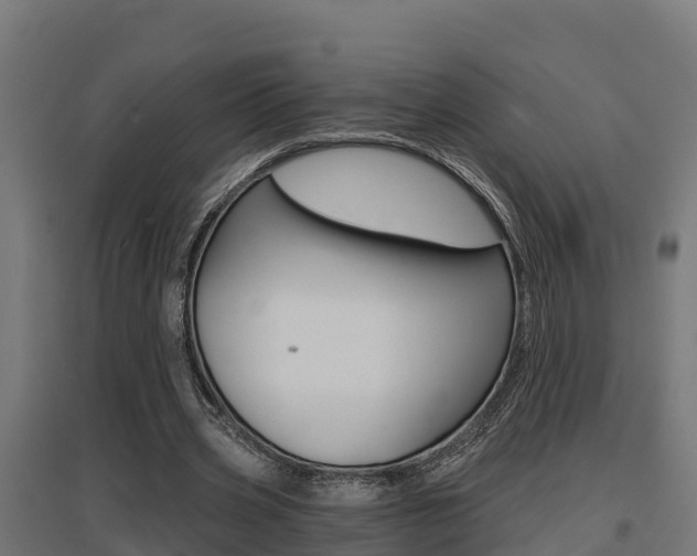 X0000097630533200802290846