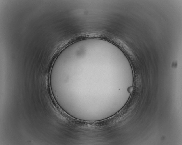X0000097630537200802290846