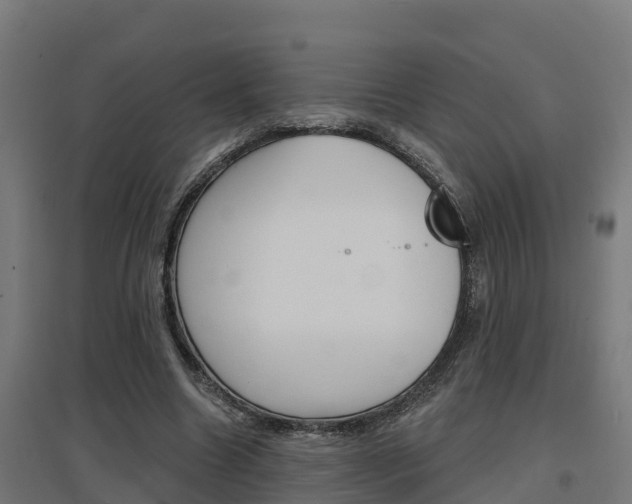 X0000097630538200802290847