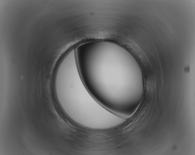 X0000097630540200802290847