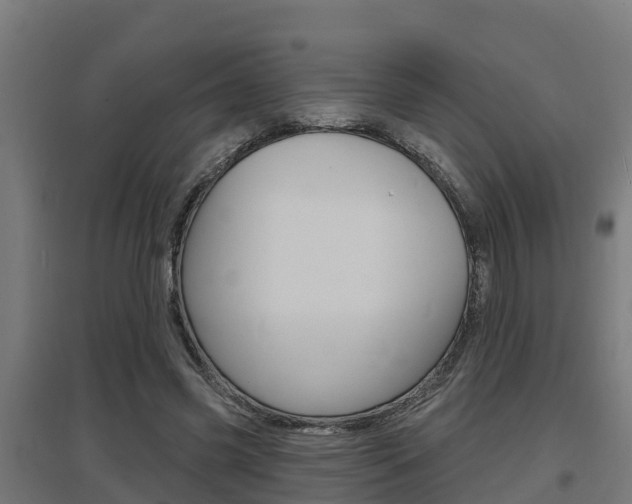 X0000097630541200802290847