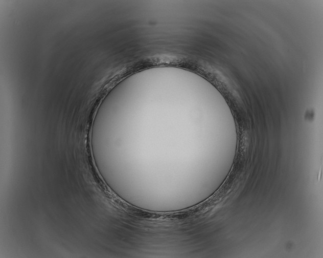 X0000097630545200802290847