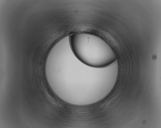 X0000097630546200802290847