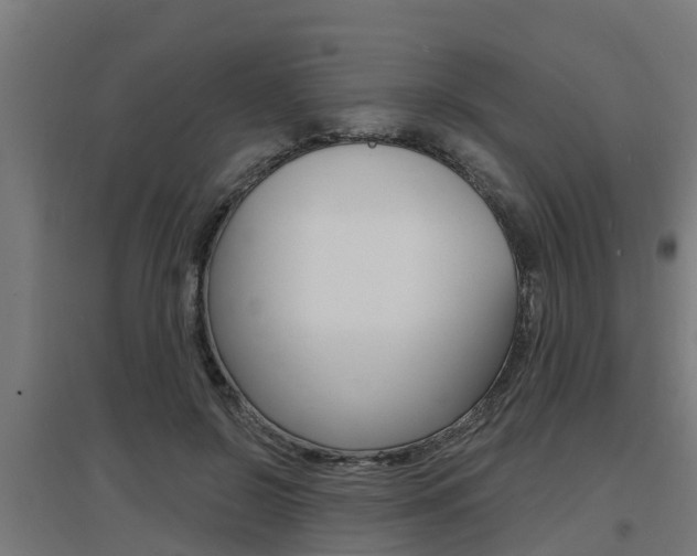 X0000097630550200802290847