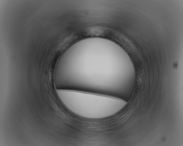 X0000097630551200802290847