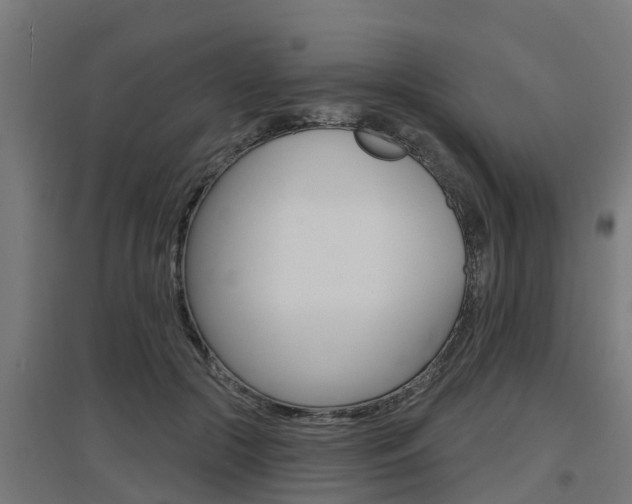 X0000097630553200802290847