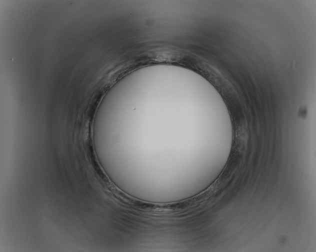 X0000097630554200802290847