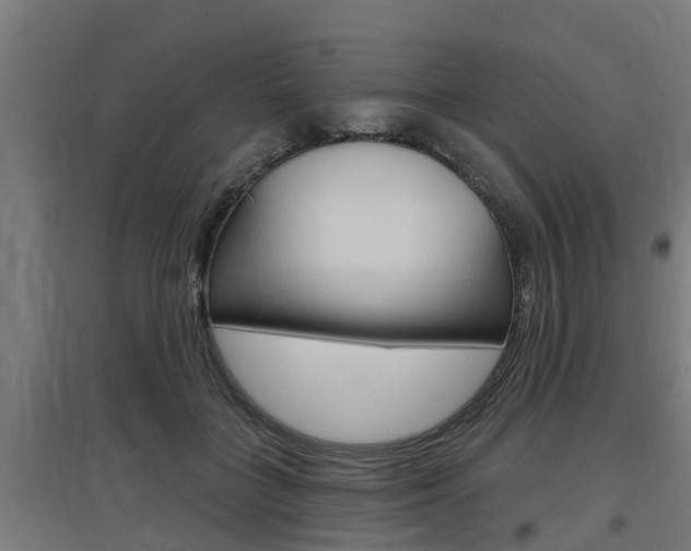 X0000097630555200802290847