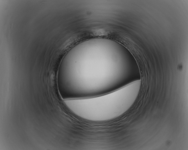 X0000097630556200802290847