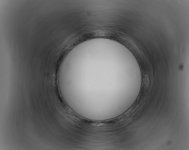 X0000097630557200802290847