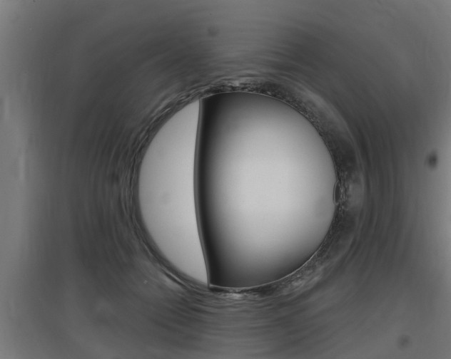 X0000097630558200802290847