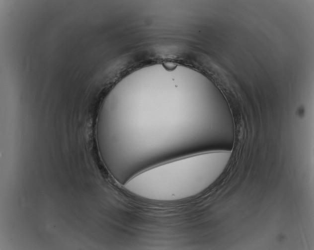 X0000097630559200802290847