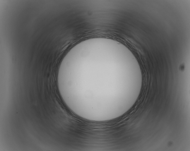 X0000097630560200802290847
