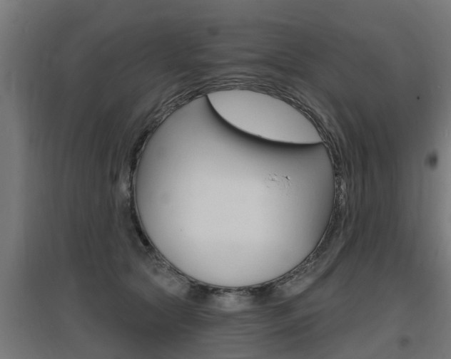 X0000097630561200802290847