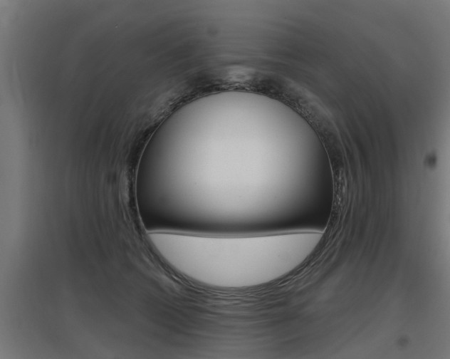 X0000097630562200802290847