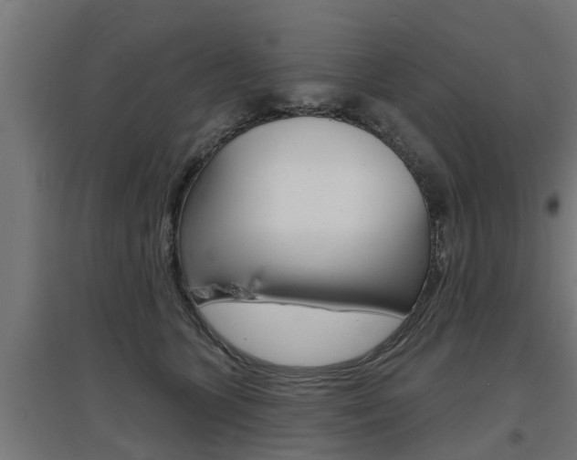 X0000097630563200802290847