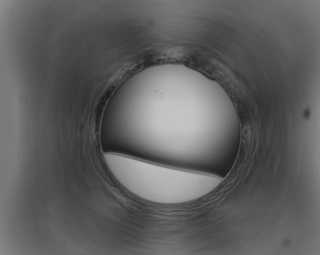 X0000097630564200802290847