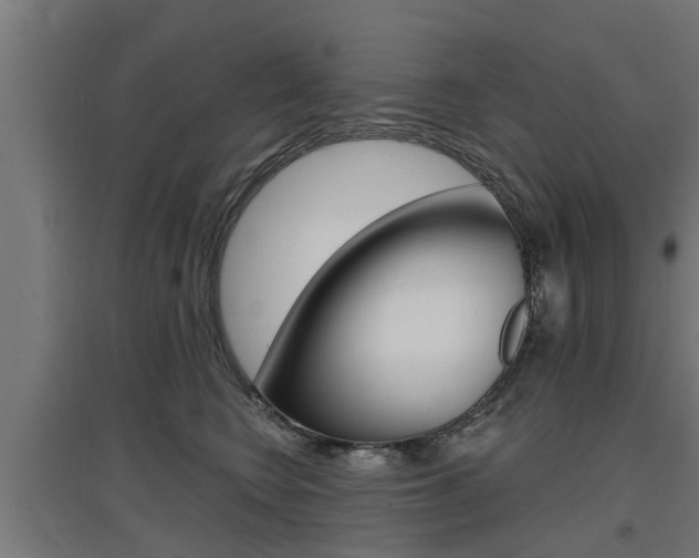 X0000097630566200802290847