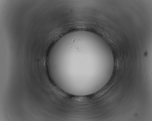 X0000097630567200802290847