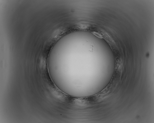X0000097630568200802290847