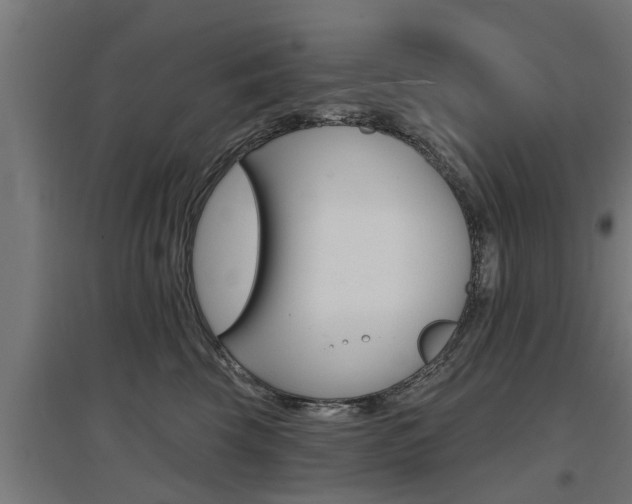 X0000097630569200802290847