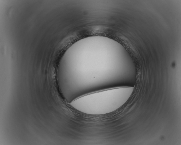 X0000097630571200802290847