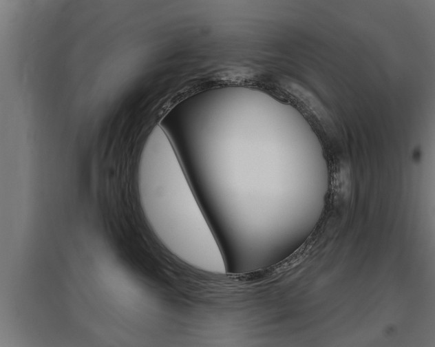X0000097630572200802290847
