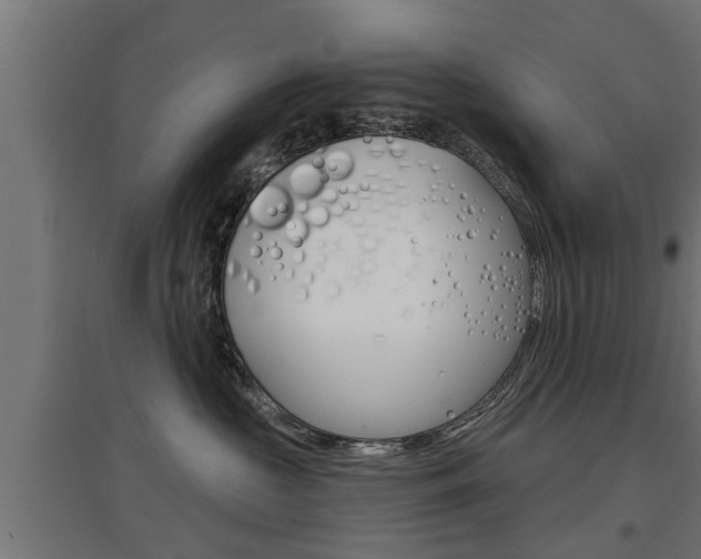 X0000097630573200802290847