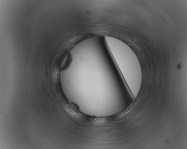 X0000097630574200802290847
